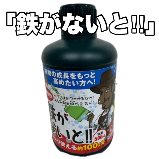 鉄がないと！ 500ｍｌ Soware+カーメンくんコラボ商品 活力剤 さし芽 種まき ハイドラカルチャー