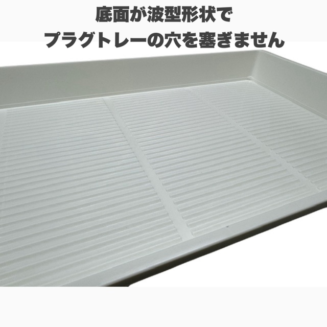 プラグトレー セルトレー 用底面給水トレー 白（ホワイト） 1枚