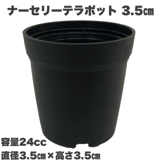 ナーセリーテラポット　3.5ｃｍ　黒　3500個セット 多肉植物　サボテン　送料無料