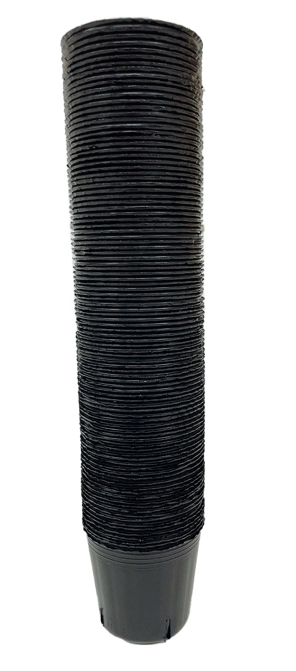 〈特選株14〉恵比寿大黒 ガチムチボディー雨ざらし実生5,6年 7.5cmポット BF恵味8－1 黒本体（N） | 製品詳細 | シーピー化成株式会社