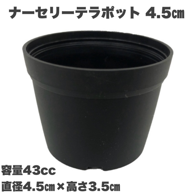 ナーセリーテラポット　4.5ｃｍ　黒　10個セット 多肉植物　サボテン