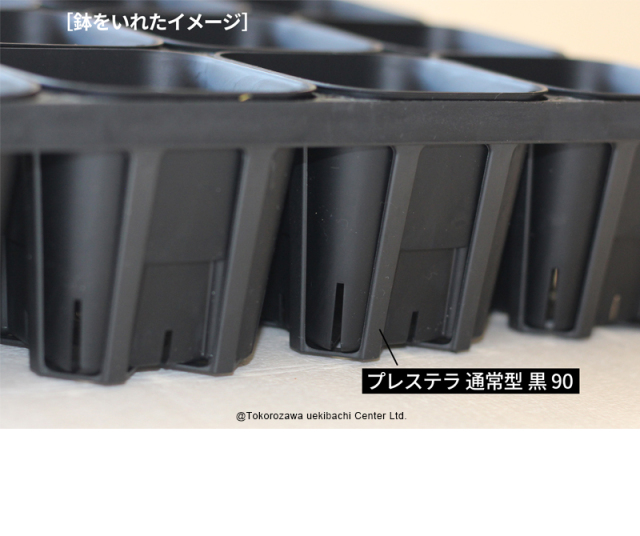 システムトレー　12穴　90CS ハーフ　黒（ブラック）　プレステラ90対応