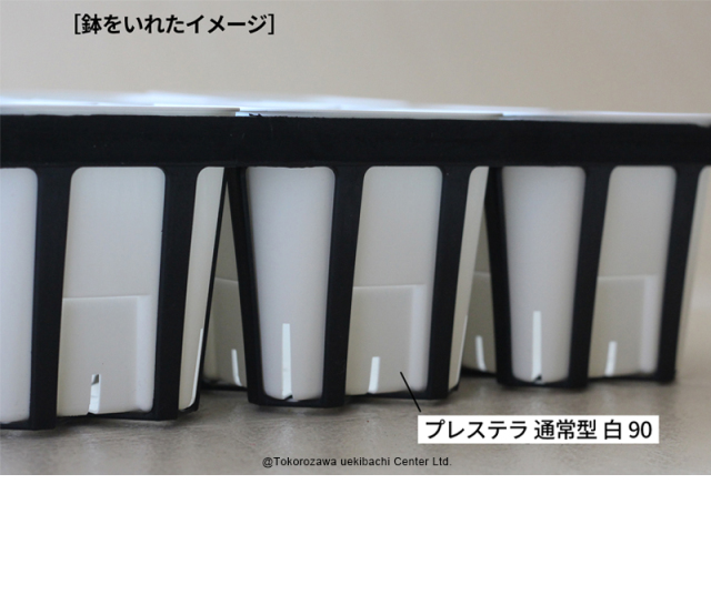 システムトレー　12穴　90CS ハーフ　黒（ブラック）　プレステラ90対応