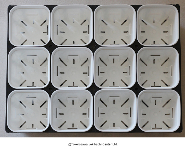 プレステラ 通常型 白 90型 12個セット+専用ハーフトレー黒色付き