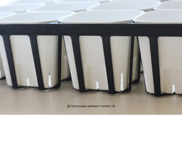 プレステラ 通常型 白 90型 12個セット+専用ハーフトレー黒色付き