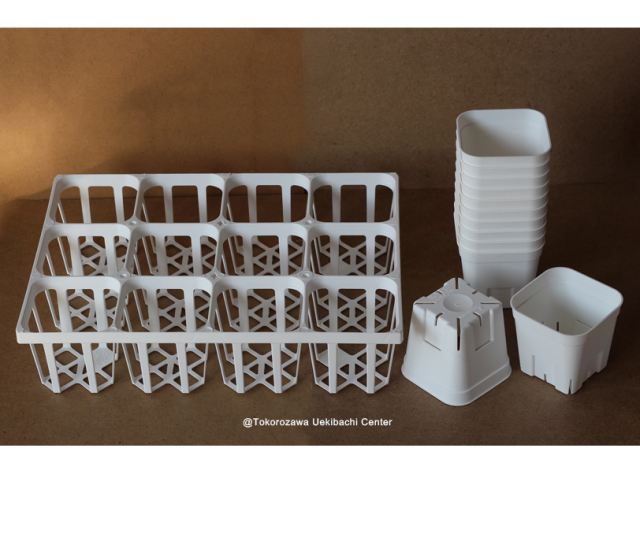 プレステラ 通常型 白 90型 12個セット+専用ハーフトレー白色（ホワイト）付き