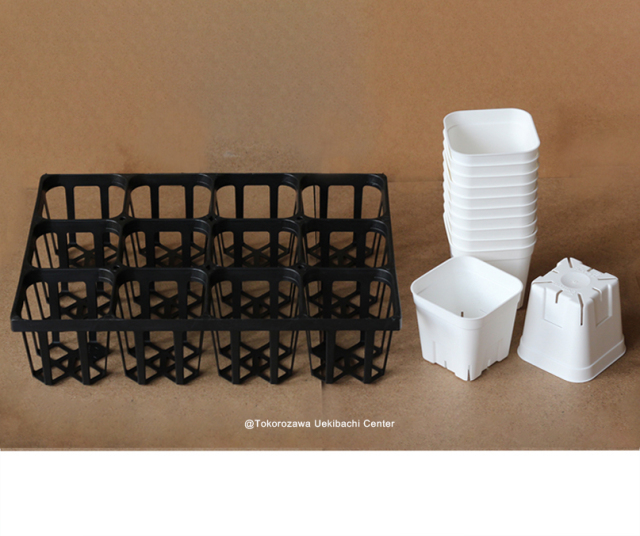 プレステラ 通常型 白 90型 12個セット+専用ハーフトレー黒色付き