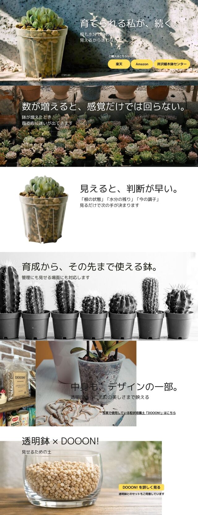 半透明スリット鉢 プラ鉢 6cm 2号 1850個 多肉植物 鉢 エケベリア CSM-60