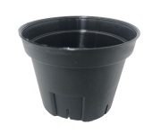 S75.jpg?t=20240207144725