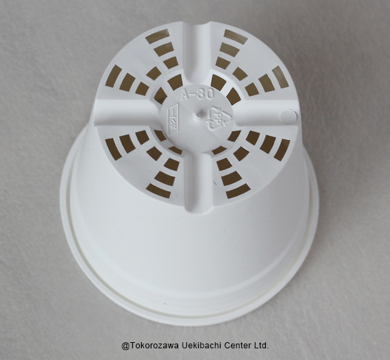 プラ鉢　A-30　白（オリジナルホワイト）　30個セット