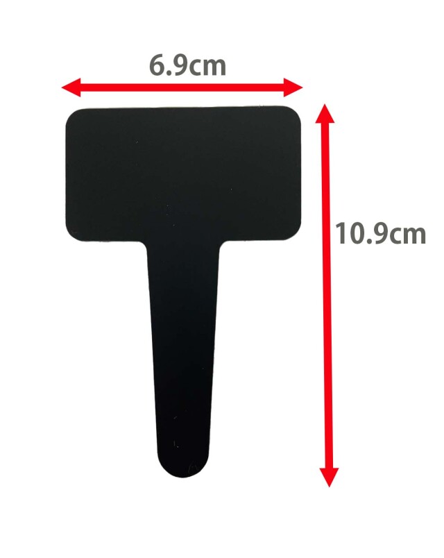 悪魔の教示者 ドラブ・セトブ版　Foil BGS9.5 ゴールドラベル 悪魔の教示者 ドラブ・セトブ版 Foil BGS9.5 ゴールドラベル 悪魔の