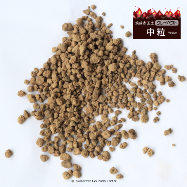 焼成赤玉土 クレイベスト 中粒