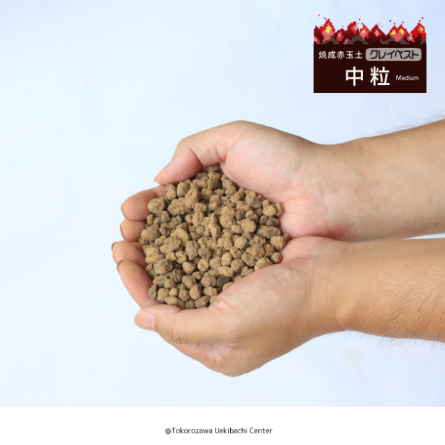 焼成赤玉土 クレイベスト 中粒