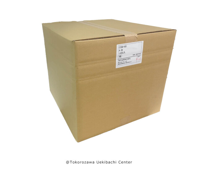 スリット鉢 プラ鉢 6cm 2号 白（ホワイト） 1850個 多肉植物 鉢