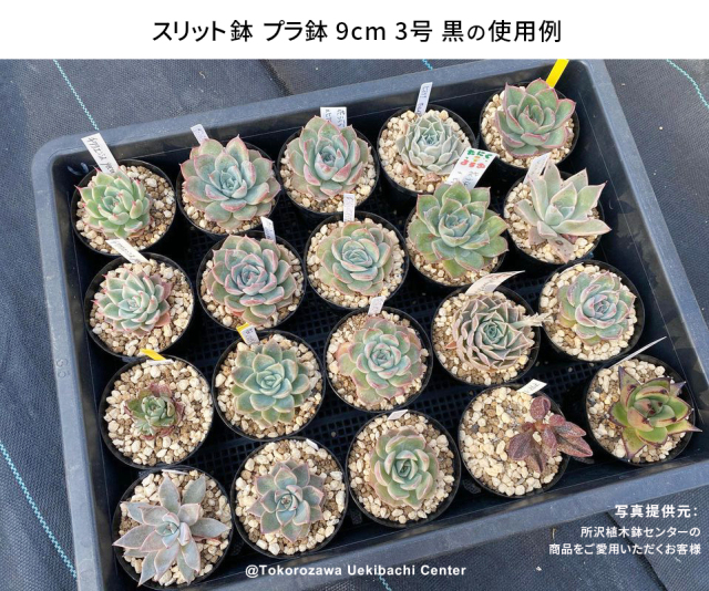 スリット鉢　プラ鉢　9cm 3号