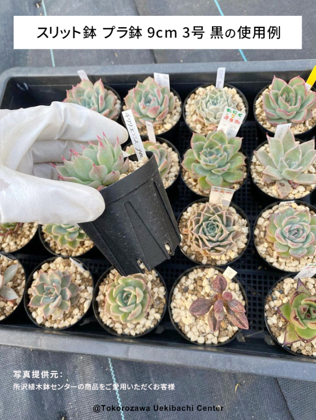 スリット鉢　プラ鉢　9cm 3号