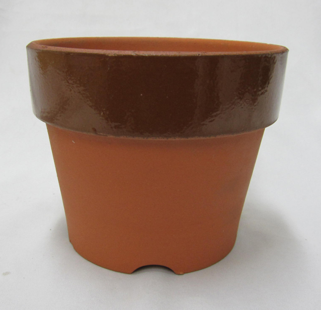 菊ダオン鉢　5号