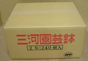 洋蘭　素焼き鉢　2.0号　240枚　【送料無料】