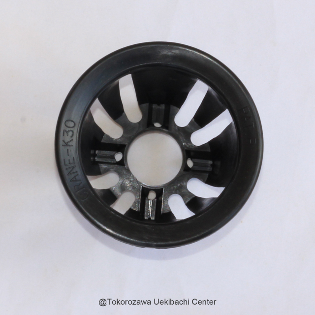 富貴蘭プラ鉢 3．0号