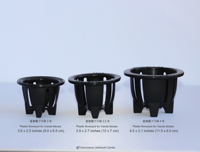 富貴蘭プラ鉢   Plastic flowerpot for Vanda falcata