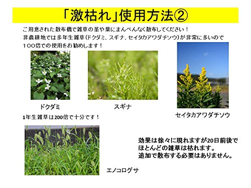 非農耕地専用除草剤】激枯れW 50g 1袋（5L分） ネコポス便可