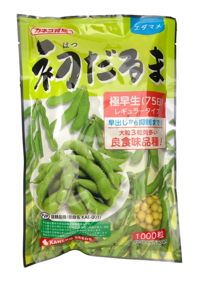 カネコ種苗 種 エダマメ 枝豆 初だるま 1000粒/ネコポス便　送料無料