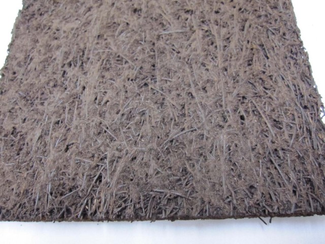 ヘゴ板 1枚 中 20cmx30cmx2.5cm