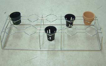 セッコク 長生蘭 35鉢 フダ落ち shouzanen_10000912