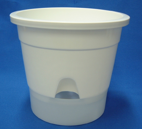 紫陽花苗5号鉢【来季用】/底面給水 紫陽花苗5号鉢【来季用】/底面給水