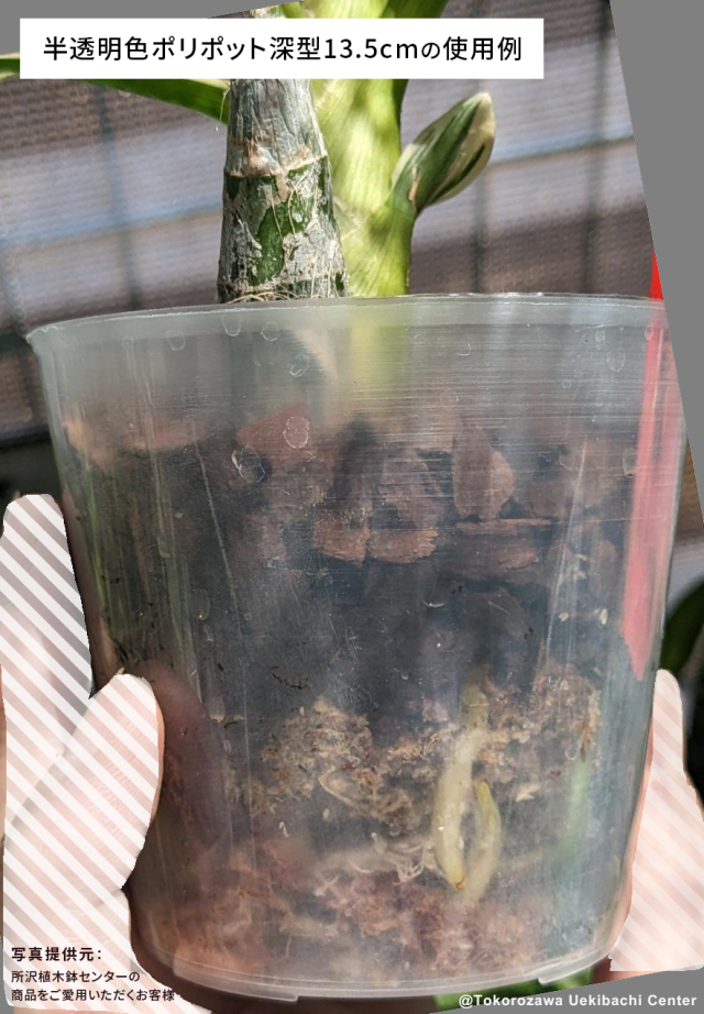 半透明色ポリポット深型13.5cm