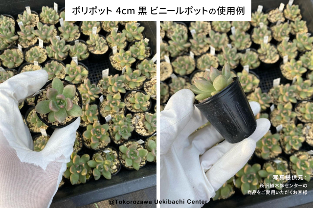 ポリポット　4cm　黒 ビニールポット
