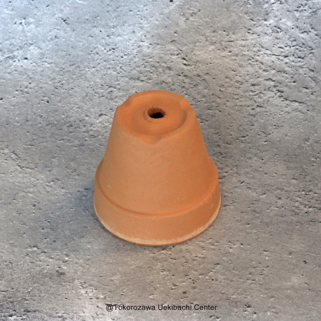 洋蘭 素焼き鉢 2．0号 10枚 板倉製陶