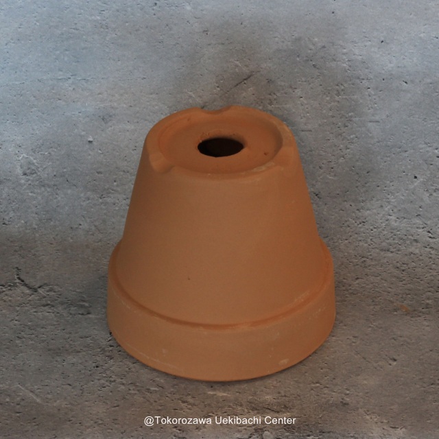 洋蘭 素焼き鉢 4．5号 6枚 板倉製陶