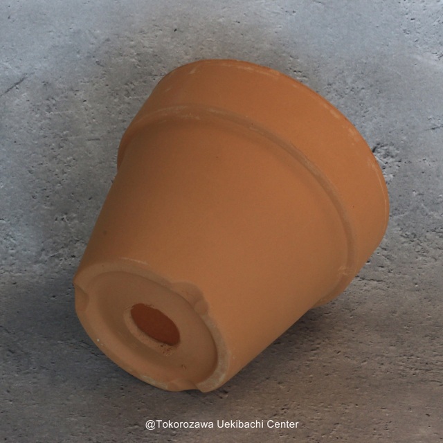 洋蘭 素焼き鉢 4．5号 6枚 板倉製陶