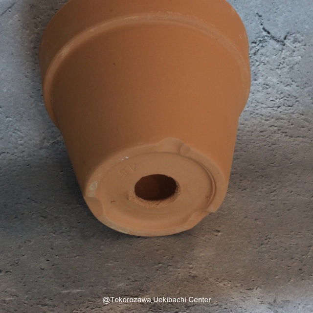 洋蘭 素焼き鉢 4．5号 6枚 板倉製陶