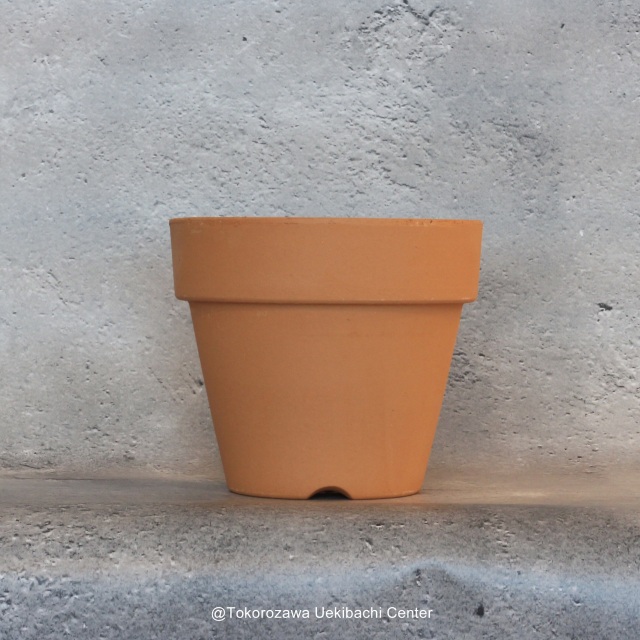 洋蘭　素焼き鉢　４．０号　4号　板倉製陶