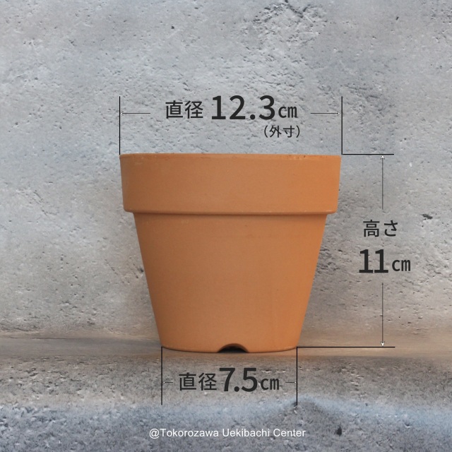 洋蘭　素焼き鉢　４．０号　4号　板倉製陶