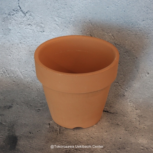洋蘭　素焼き鉢　４．０号　4号　板倉製陶