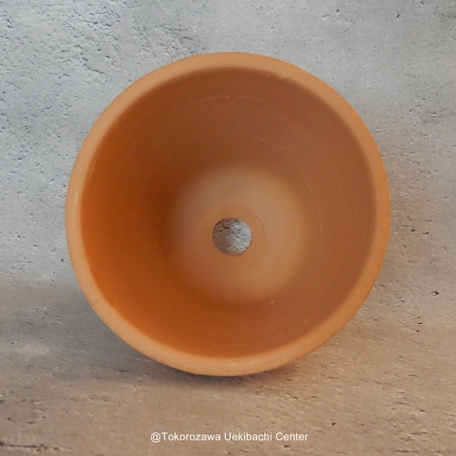 洋蘭　素焼き鉢　４．０号　4号　板倉製陶