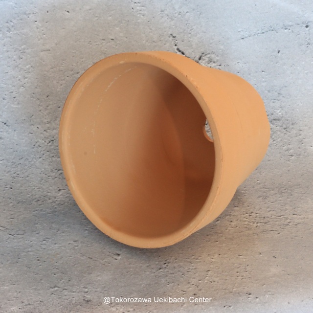 洋蘭　素焼き鉢　４．０号　4号　板倉製陶
