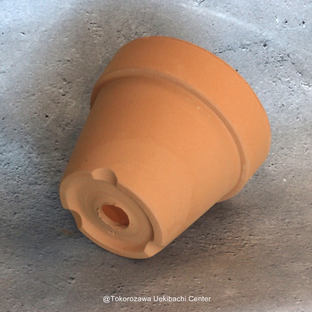 洋蘭　素焼き鉢　４．０号　4号　板倉製陶