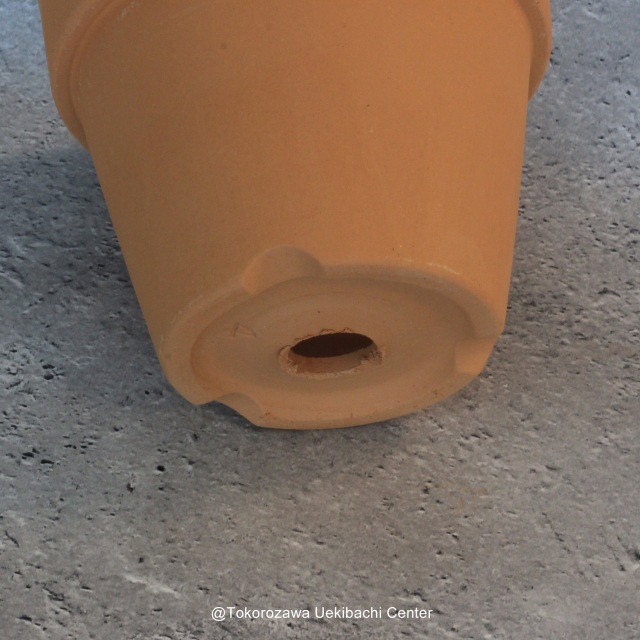 洋蘭　素焼き鉢　４．０号　4号　板倉製陶