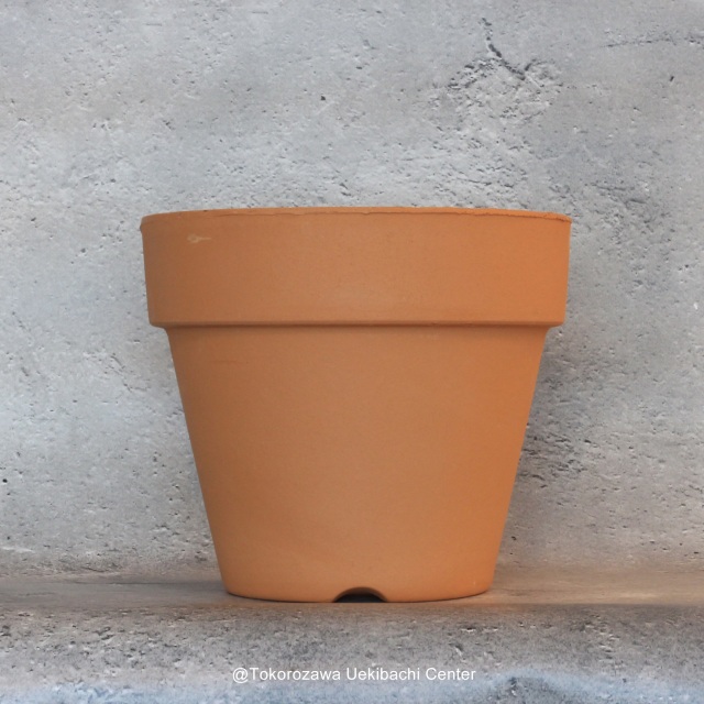 洋蘭　素焼き鉢　5.0号　5号　板倉製陶