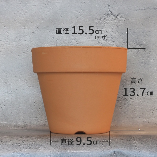洋蘭　素焼き鉢　5.0号　5号　板倉製陶