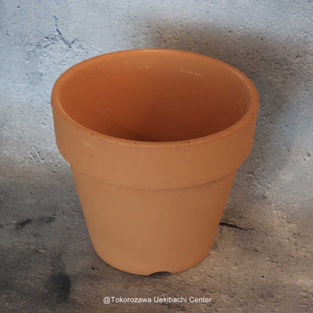洋蘭　素焼き鉢　5.0号　5号　板倉製陶