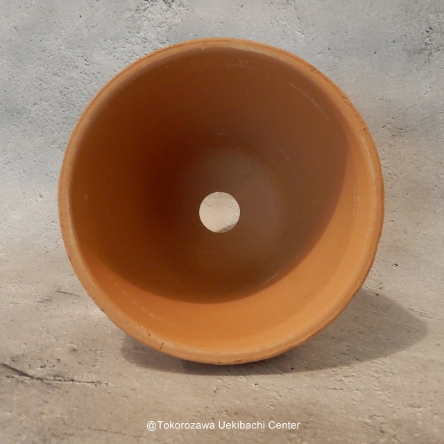 洋蘭　素焼き鉢　5.0号　5号　板倉製陶