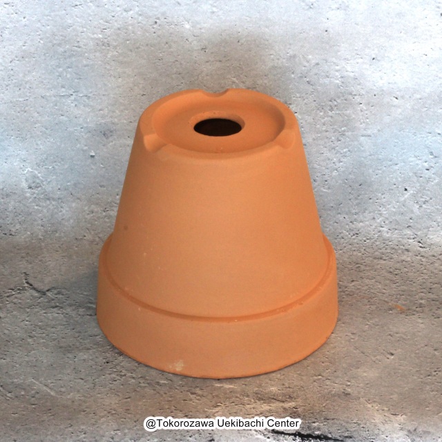 洋蘭　素焼き鉢　5.0号　5号　板倉製陶