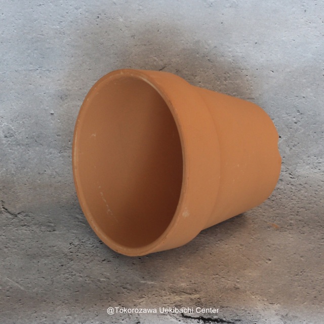洋蘭　素焼き鉢　5.0号　5号　板倉製陶