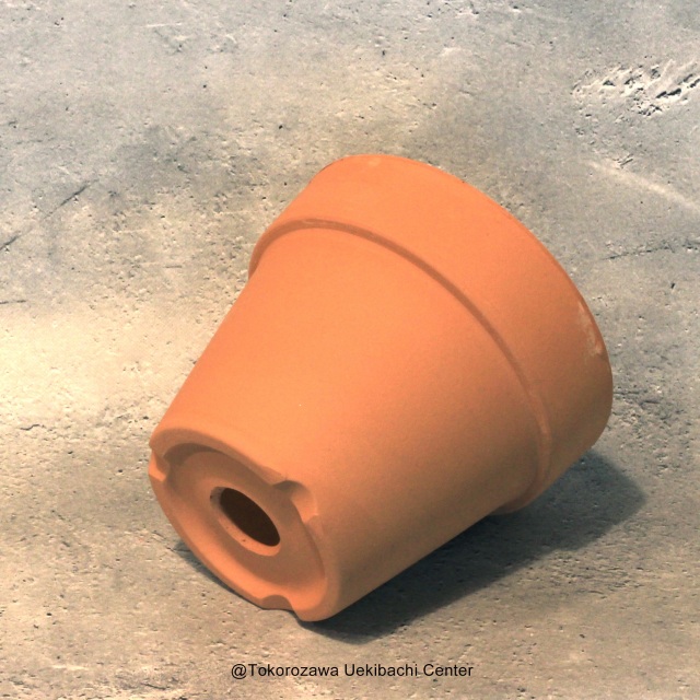 洋蘭　素焼き鉢　5.0号　5号　板倉製陶