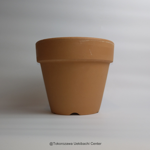 洋蘭 素焼き鉢 6．0号 6枚 板倉製陶